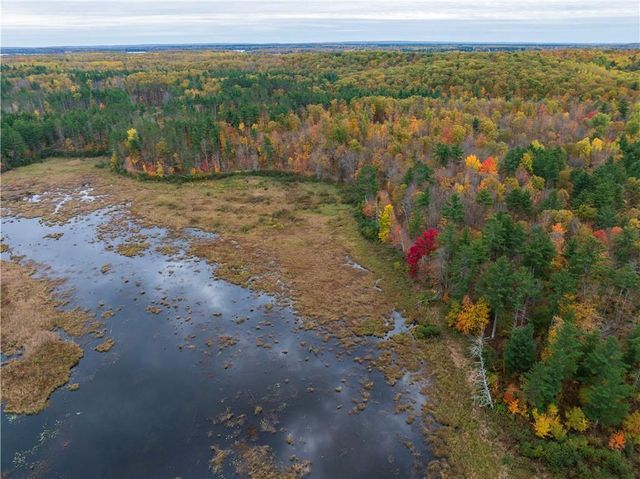 Lot 55 Vasa Road, Hayward, WI 54843