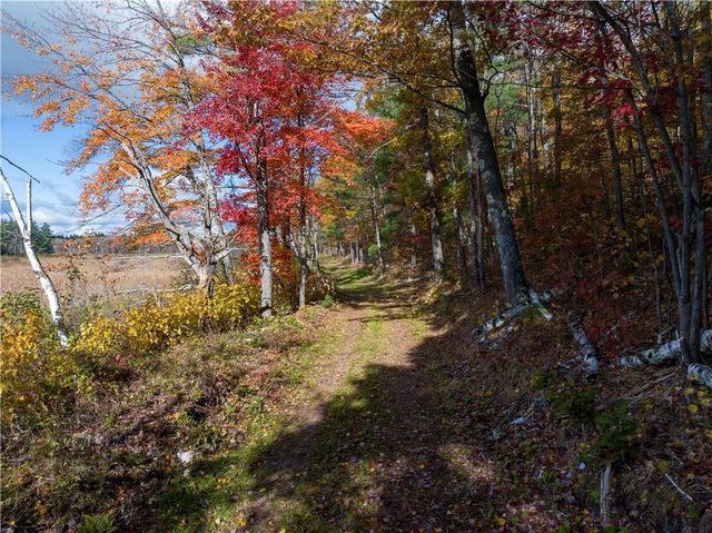 Lot 55 Vasa Road, Hayward, WI 54843