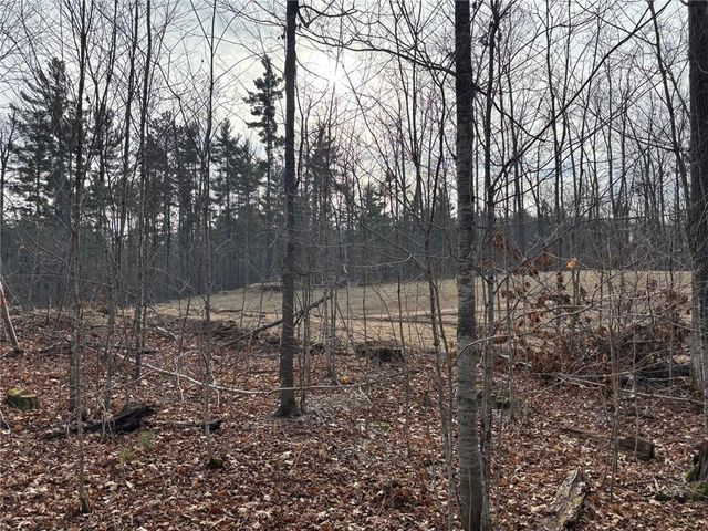 Lot 55 Vasa Road, Hayward, WI 54843