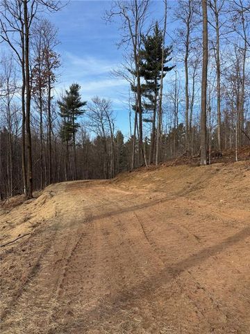 Lot 55 Vasa Road, Hayward, WI 54843