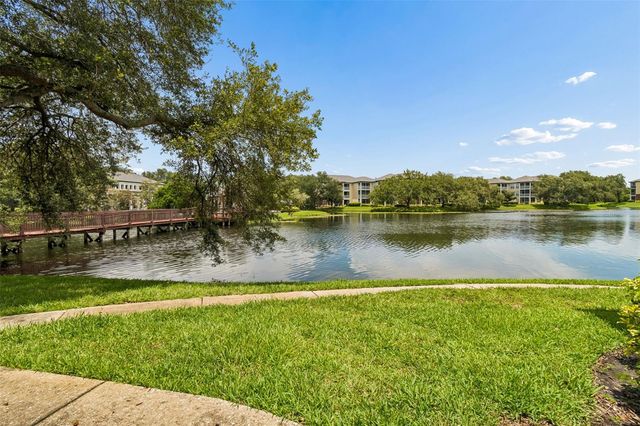 4115 CHATHAM OAK COURT 201, Tampa, FL 33624