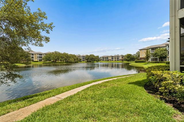 4115 CHATHAM OAK COURT 201, Tampa, FL 33624
