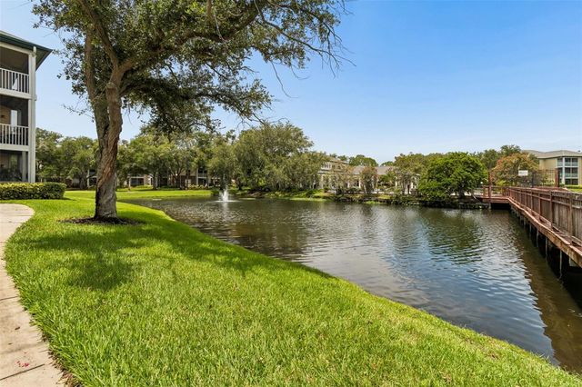 4115 CHATHAM OAK COURT 201, Tampa, FL 33624