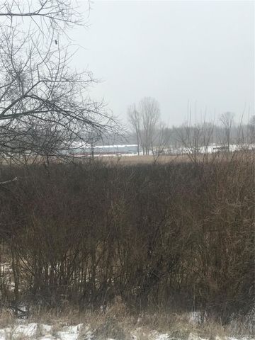 VL Hinchey Road, Putnam Township, MI 48169