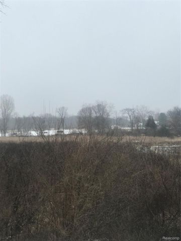 VL Hinchey Road, Putnam Township, MI 48169