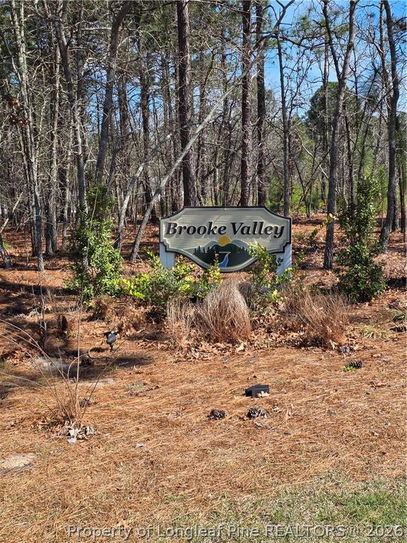 370 Bulldawg Lane, Raeford, NC 28376 — photo 2