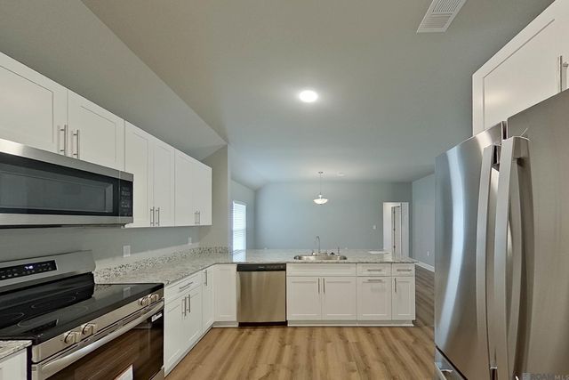 13963 Barrington Ave, Denham Springs, LA 70726