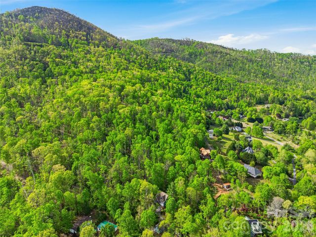 17 Bohemian Lane, Asheville, NC 28805