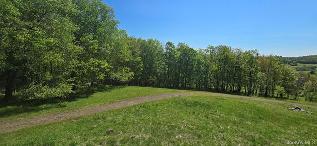 26 Beckys Hill Road, Hurleyville, NY 12747
