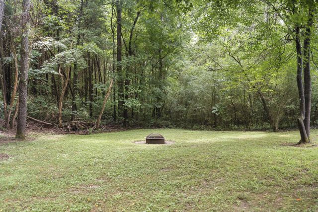 117 E Circle Dr, Burns, TN 37029