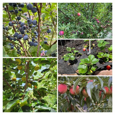 10840 Cove Point Drive, Charlotte, NC 28278