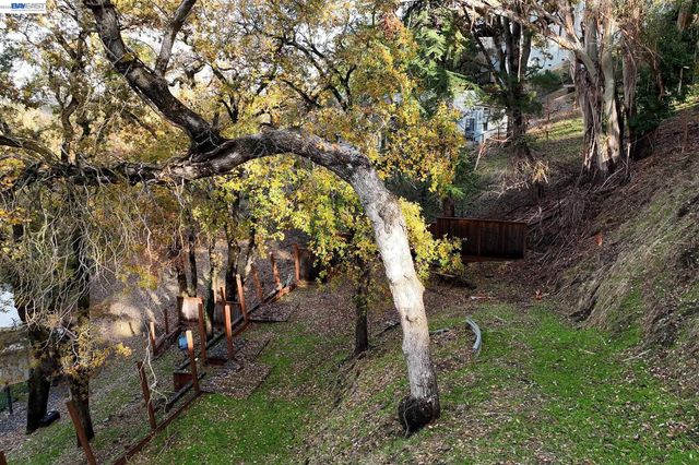 247 Sequoia Ave, Walnut Creek, CA 94595