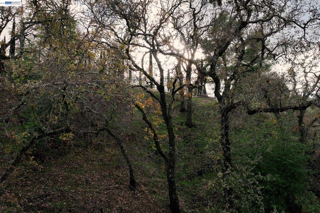 247 Sequoia Ave, Walnut Creek, CA 94595