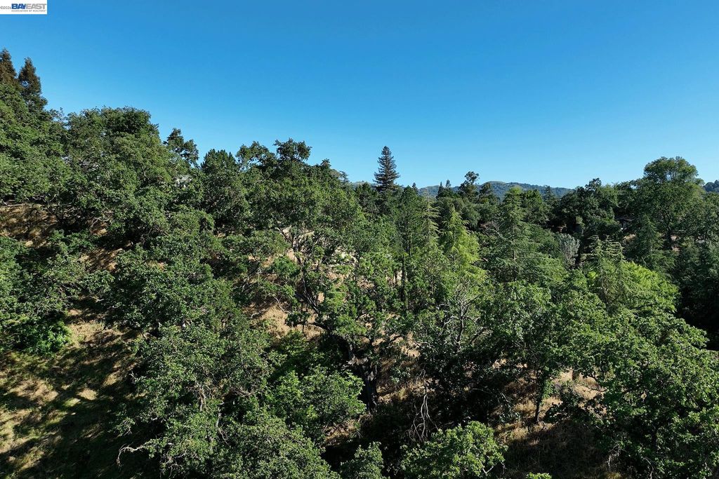 247 Sequoia Ave, Walnut Creek, CA 94595