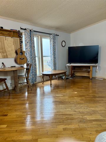 1518 E Tupper Lake Road, Lake Odessa, MI 48849