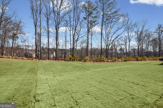 1423 Wild Cherry Court, Griffin, GA 30223