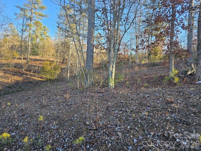 2167 Inlet Shore Road NE, Connelly Springs, NC 28612