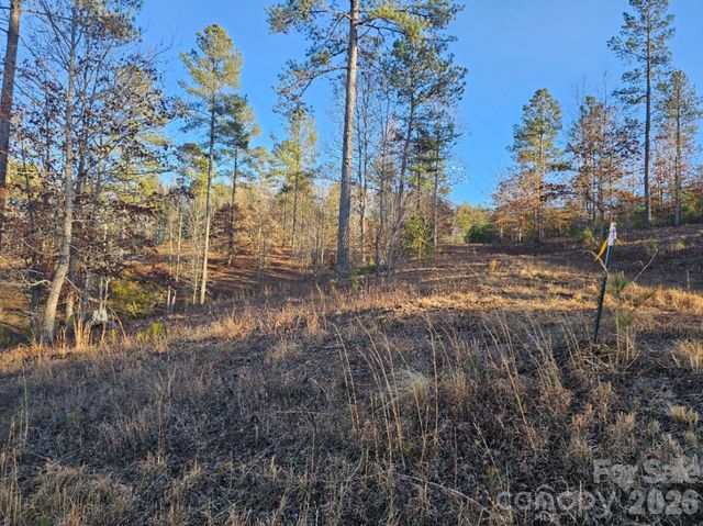 2167 Inlet Shore Road NE, Connelly Springs, NC 28612