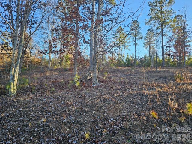 2167 Inlet Shore Road NE, Connelly Springs, NC 28612