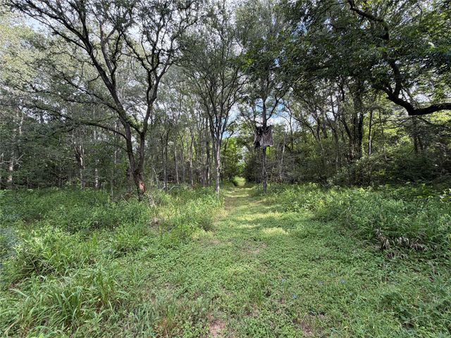 437 Balch RD, Elgin, TX 78621