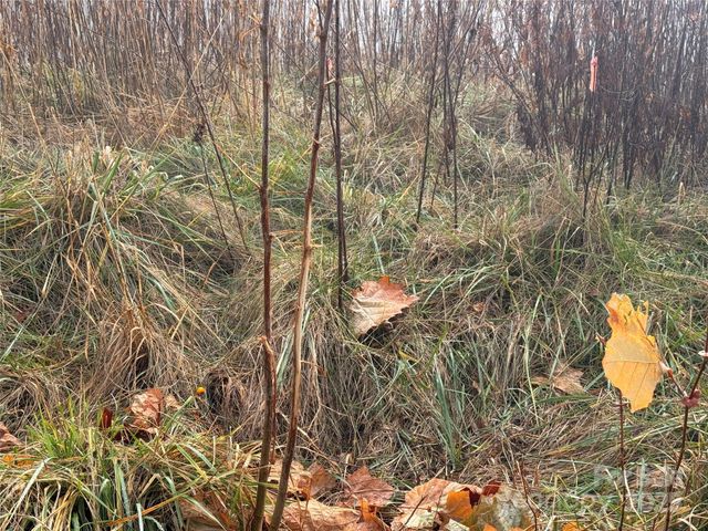 385 Fork Mountain Road, Bakersville, NC 28705