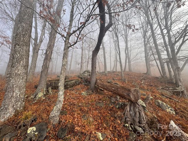 385 Fork Mountain Road, Bakersville, NC 28705