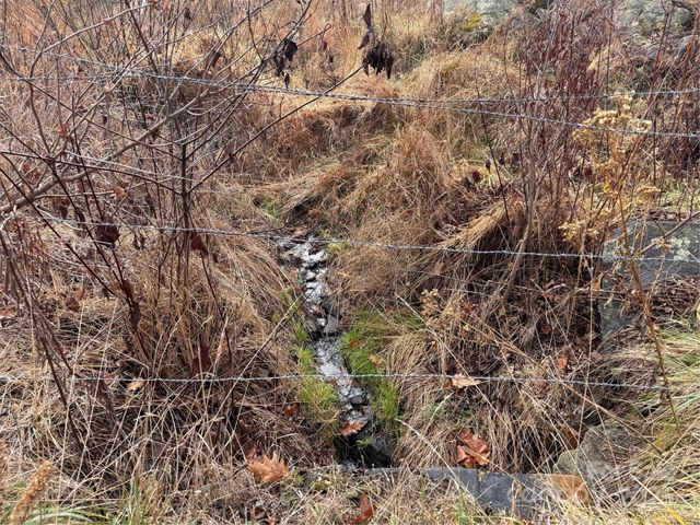 385 Fork Mountain Road, Bakersville, NC 28705