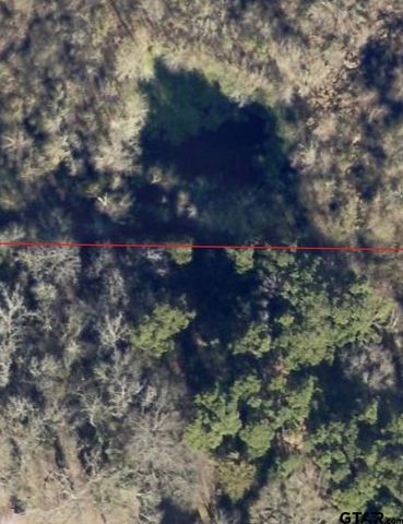 TBD County Road 4510, Winnsboro, TX 75494