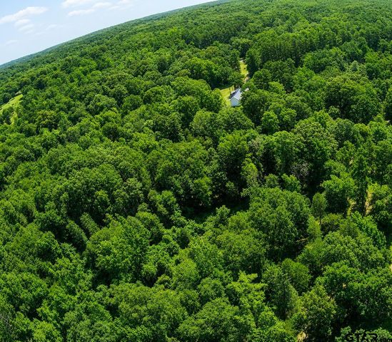 TBD County Road 4510, Winnsboro, TX 75494