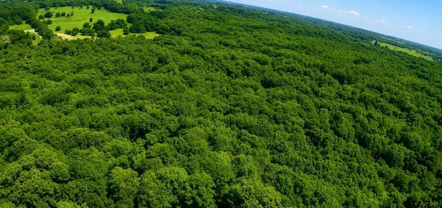 TBD County Road 4510, Winnsboro, TX 75494