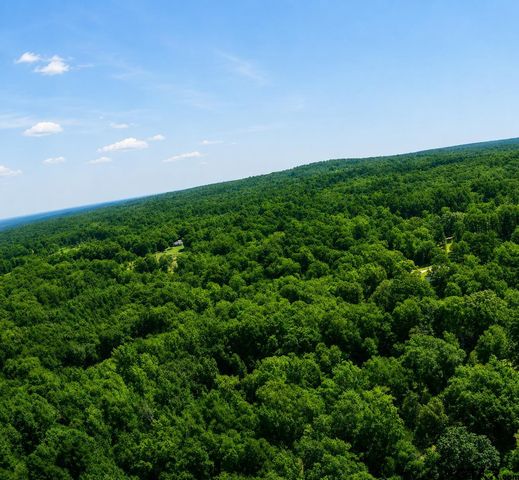 TBD County Road 4510, Winnsboro, TX 75494