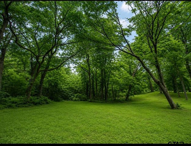 TBD County Road 4510, Winnsboro, TX 75494