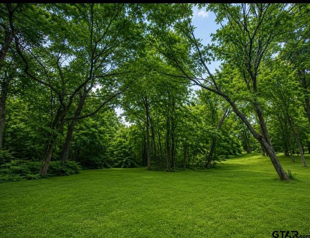 TBD County Road 4510, Winnsboro, TX 75494