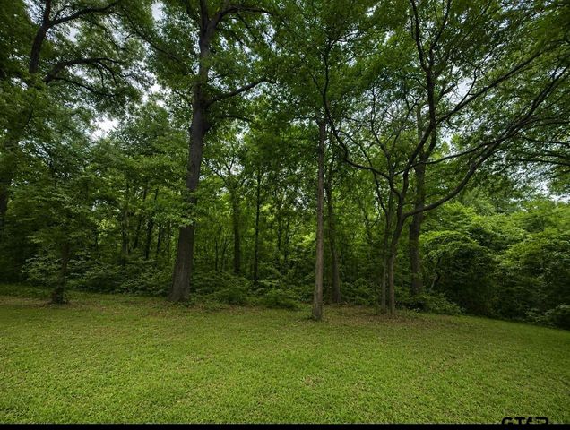 TBD County Road 4510, Winnsboro, TX 75494