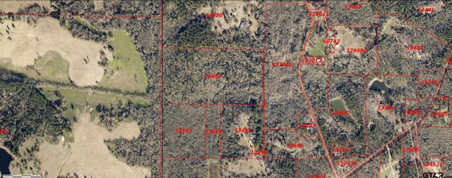 TBD County Road 4510, Winnsboro, TX 75494