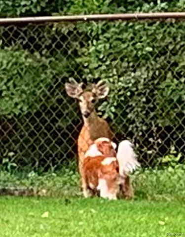 38993 Grennada Street, Livonia, MI 48154