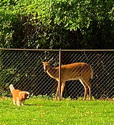 38993 Grennada Street, Livonia, MI 48154