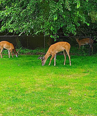 38993 Grennada Street, Livonia, MI 48154