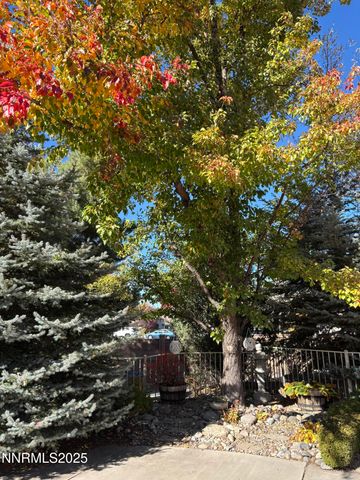 488 Sierra Leaf Circle, Reno, NV 89511