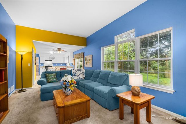203 Parkside Lane, Oswego, IL 60543