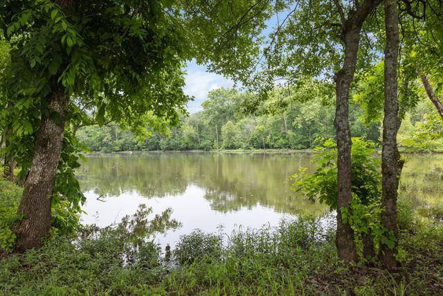 1915 Pointe Barton Dr, Lebanon, TN 37087