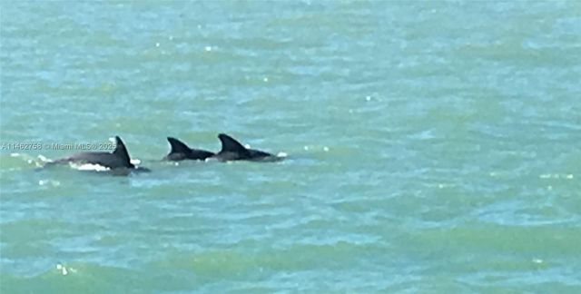 1 Century Ln 209, Miami Beach, FL 33139