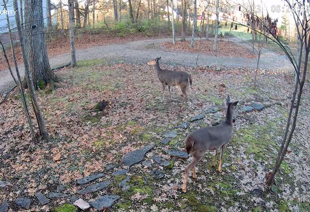 5344 Sleepy Hollow Drive, Frankfort, KY 40601