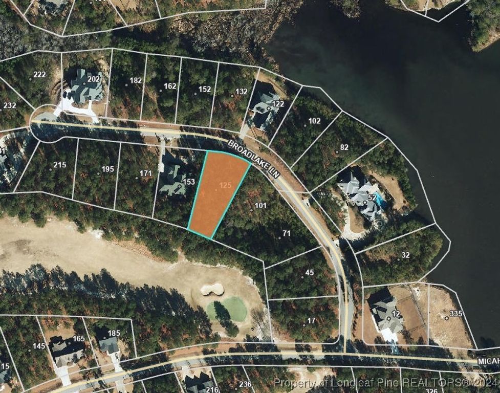 125 Broadlake (647) Lane, Spring Lake, NC 28390 — photo 10