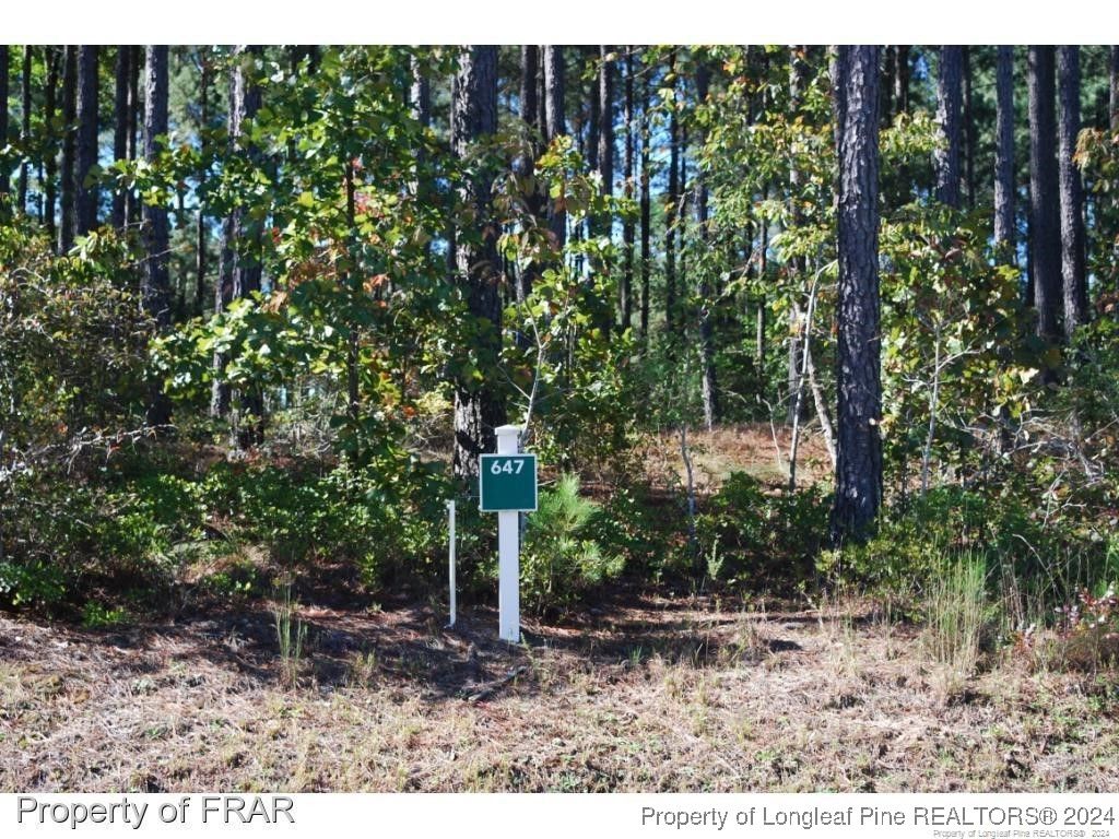 125 Broadlake (647) Lane, Spring Lake, NC 28390 — photo 2