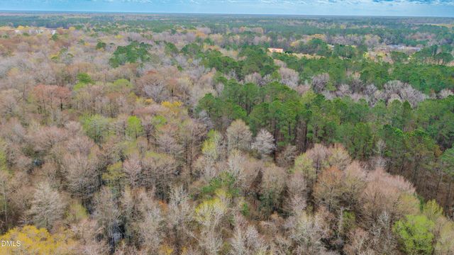 259 Heathers Folly Road, Watha, NC 28478