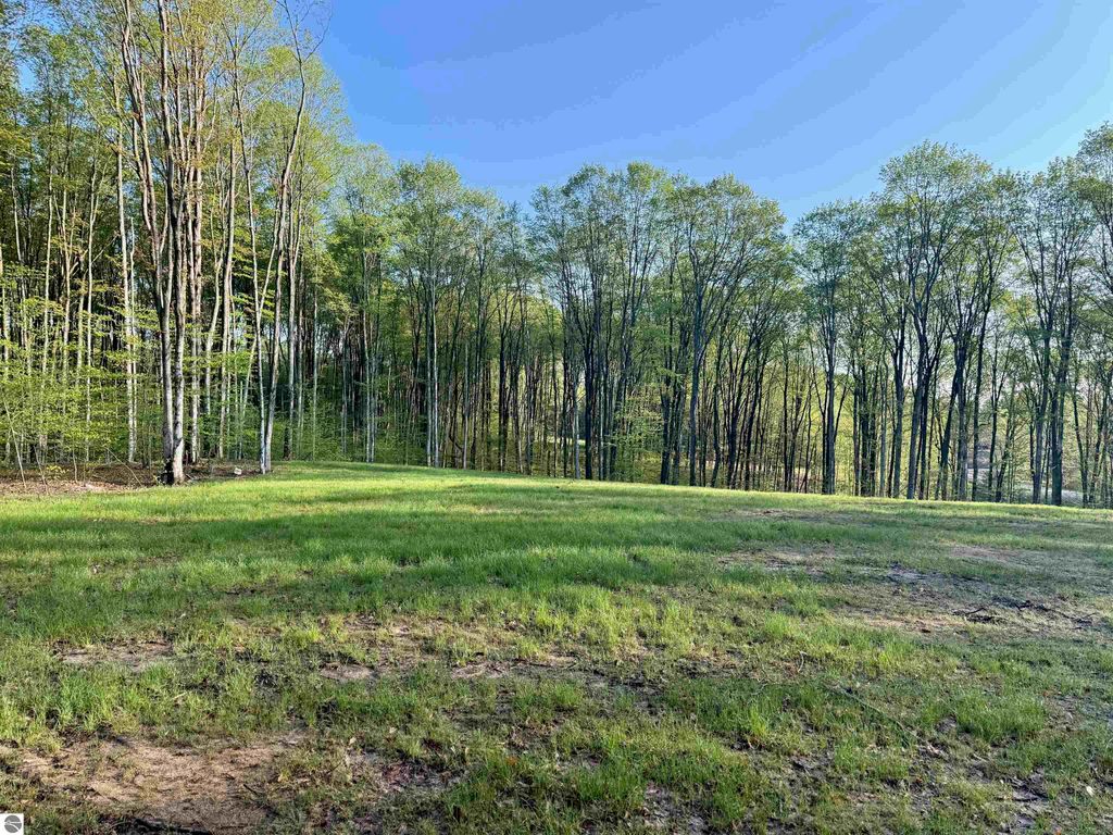 Image 2 of property listing at 01 S Bright Road, Maple City, MI 49664