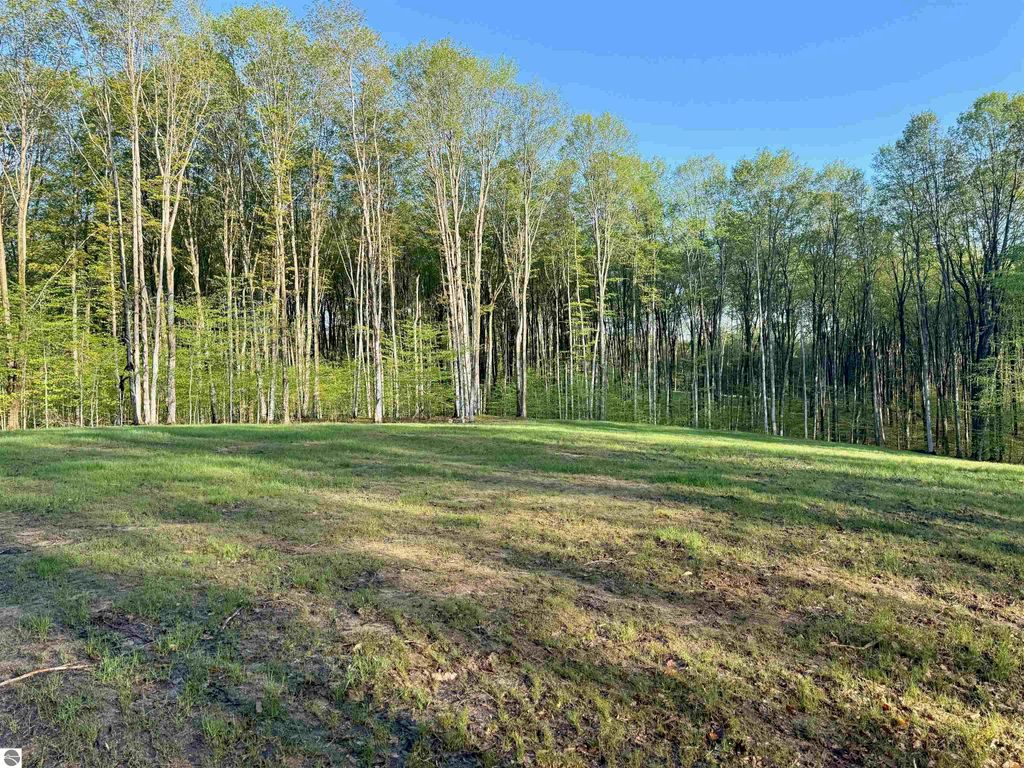 Image 6 of property listing at 01 S Bright Road, Maple City, MI 49664