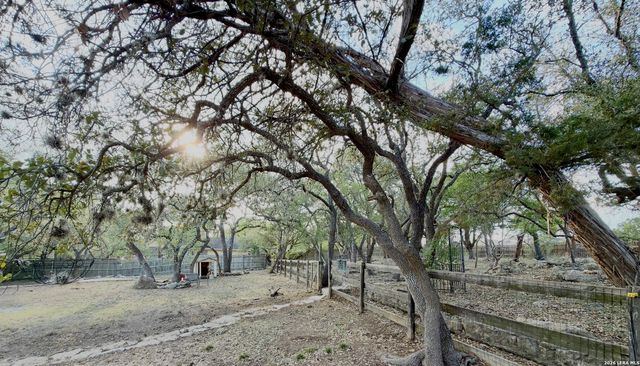 31245 Sunlight, Bulverde, TX 78163