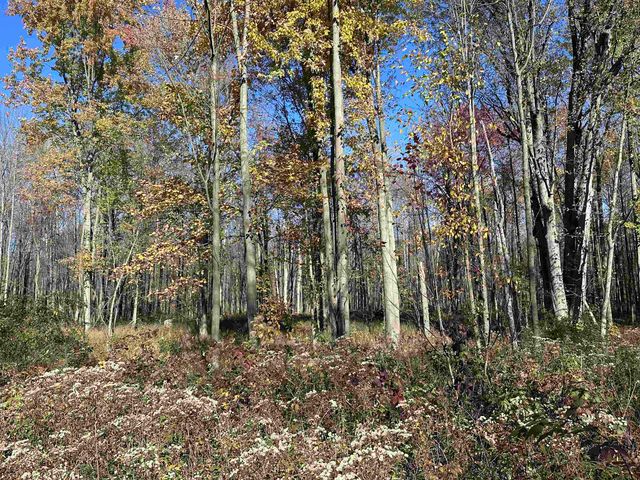 4350 W Laporte Road, Saint Louis, MI 48880